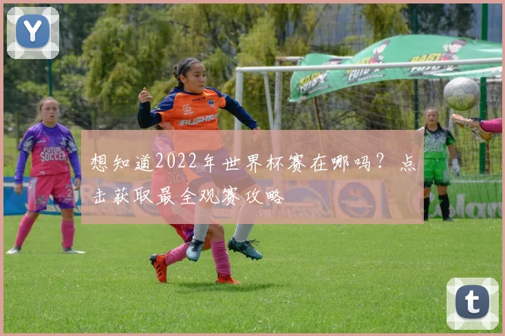 想知道2022年世界杯赛在哪吗?点击获取最全观赛攻略