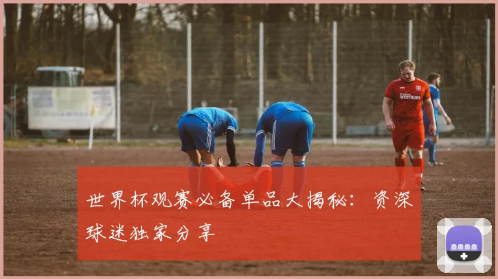 世界杯观赛必备单品大揭秘：资深球迷独家分享