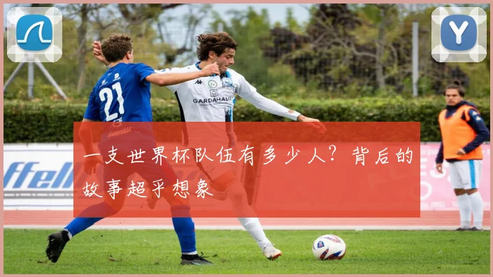 一支世界杯队伍有多少人？背后的故事超乎想象
