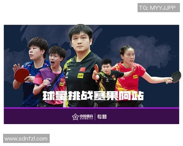 广州网球队状态分析：聚焦近期比赛表现与未来发展方向