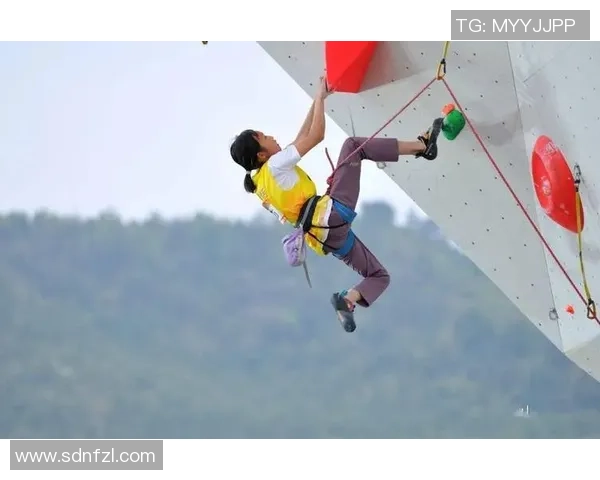 武汉攀岩队实力之争引发热议攀岩爱好者的不同声音与看法