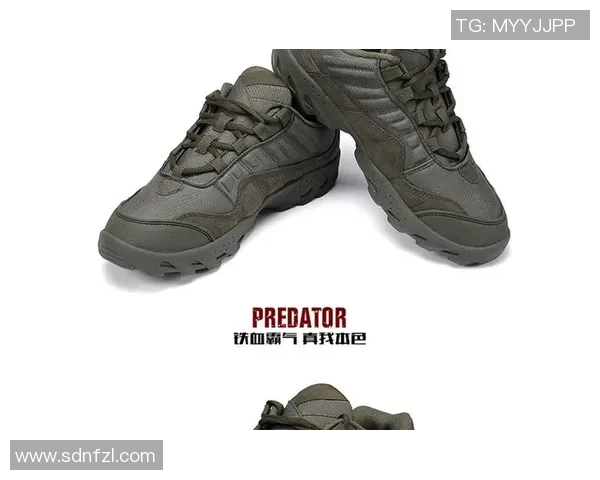 深圳攀岩队反击战术解析与实战应用探讨