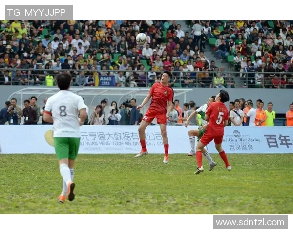 足球明星立牌合影照片展现球场魅力与明星风采的精彩瞬间 足球明星立牌合影照片展现球场魅力与明星风采的精彩瞬间