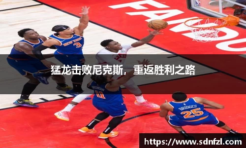 猛龙击败尼克斯，重返胜利之路