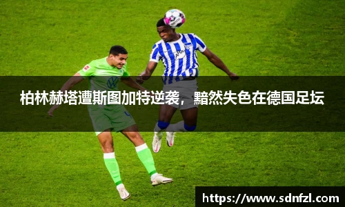 BB视讯官方网站