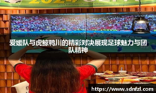爱媛队与虎鲸鸭川的精彩对决展现足球魅力与团队精神