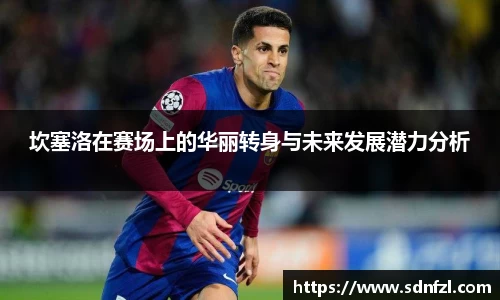 BB视讯官方网站
