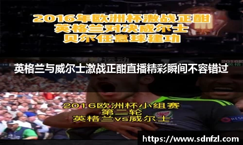 BB视讯官方app