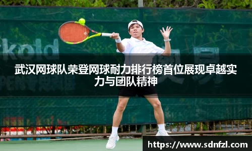 BB视讯官网