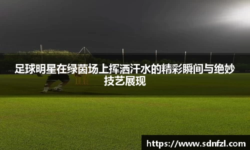 BB视讯官方网站
