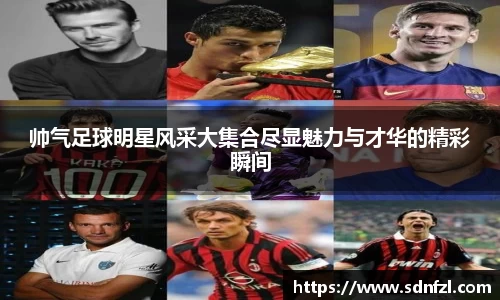 BB视讯官方网站